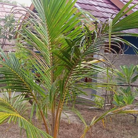 Dinoyin Bungalows Gili Meno Zewnętrze zdjęcie