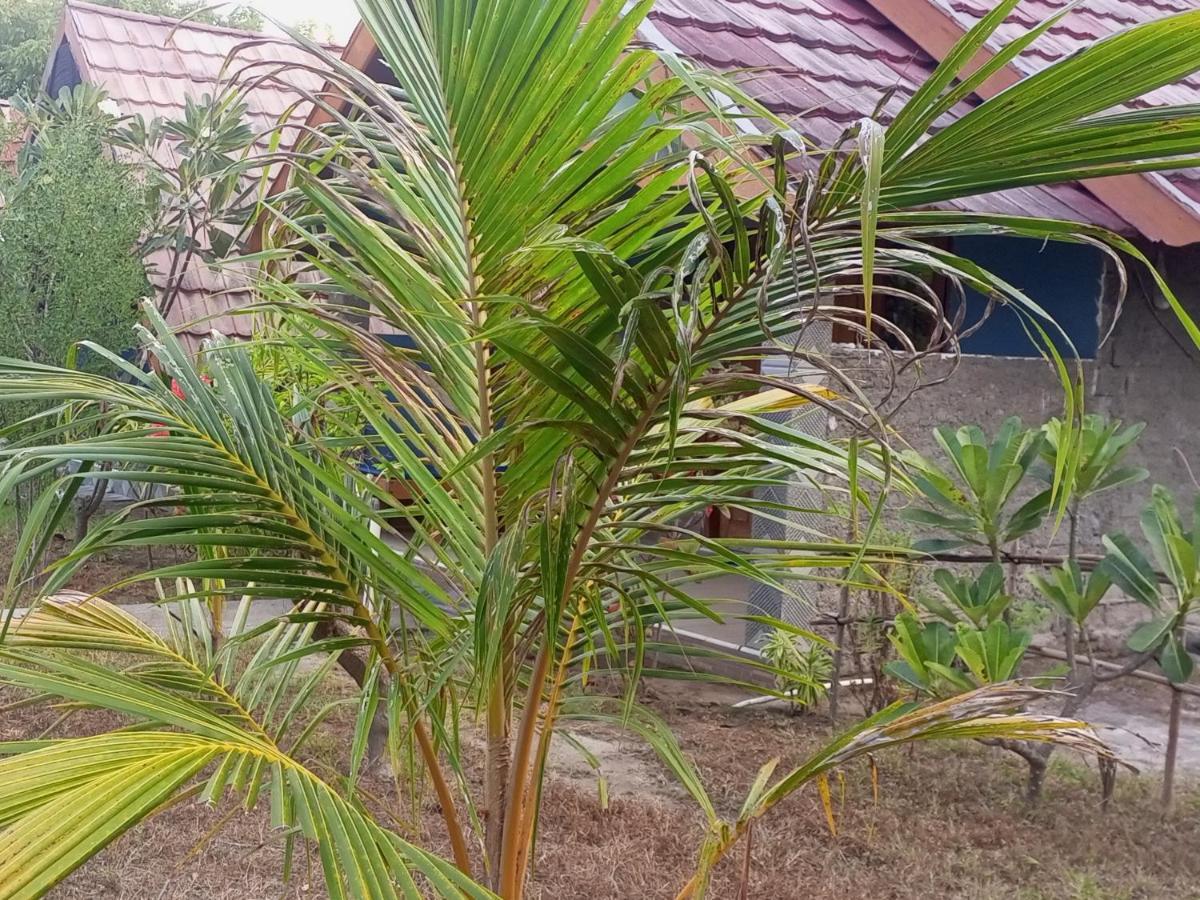 Dinoyin Bungalows Gili Meno Zewnętrze zdjęcie